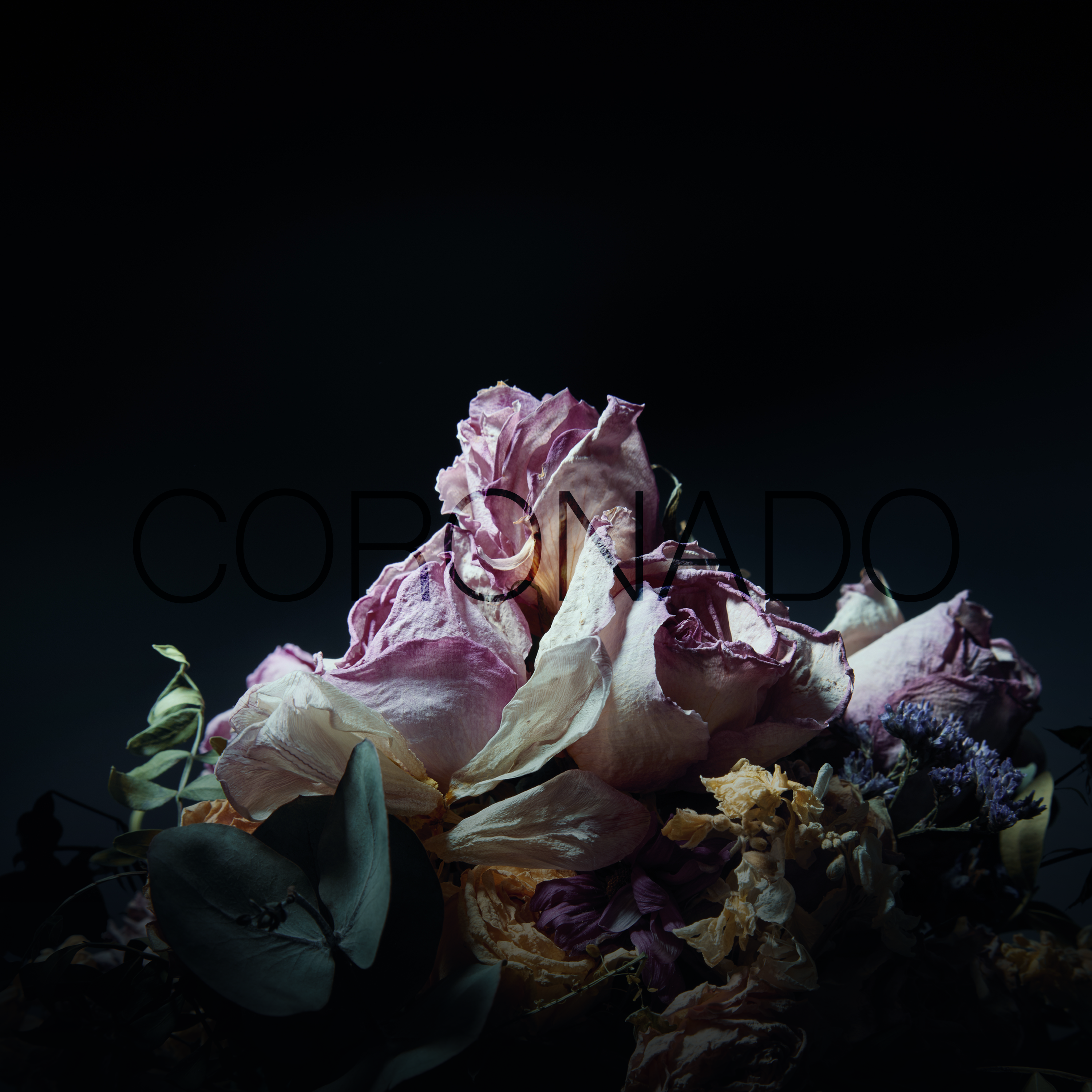 Coronado cover art